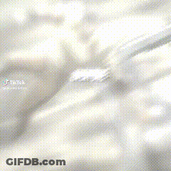 Person With Shark Head Close-Up GIF