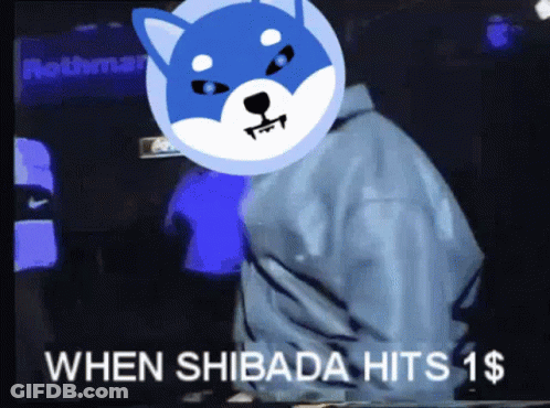 Person With Shiba Inu On Head When Shibada Hits 1 $ GIF