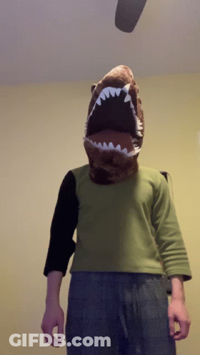 Person With Stuffed Shark Head GIF