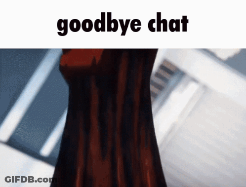Person With Words Goodbye Chat GIF