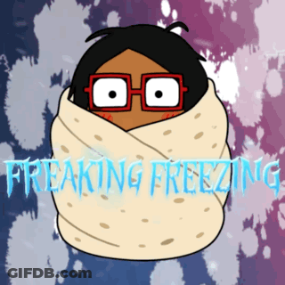 Person Wrapped In Burrito Freaking Freezing GIF