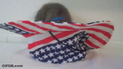 Person Wrapped In Red White And Blue Flag GIF