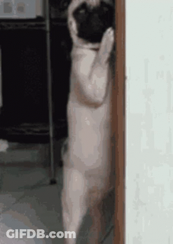 Person Writing No Homework It's Dinner Time In Notebook GIF