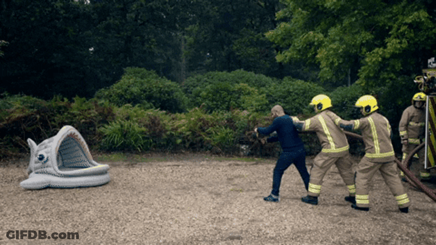 Pet Bed Got Blasted By Water Using Fire Hose GIF