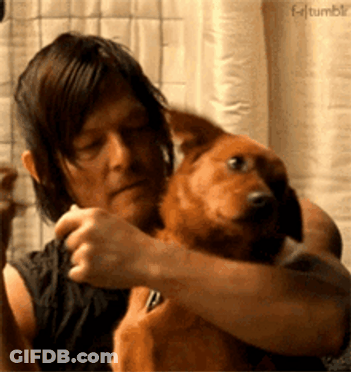 Pet Dog Hug Man GIF