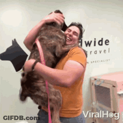 Pet Dog Hug Owner GIF
