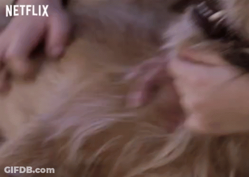 Pet Love GIF