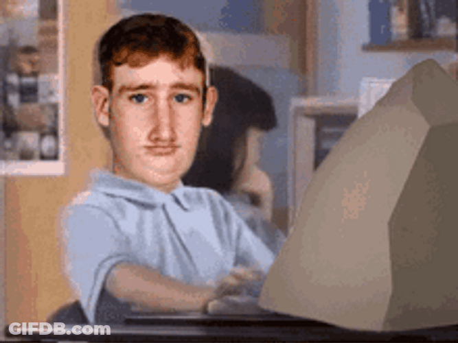 Pet Rock Brent Rambo Approves Meme GIF