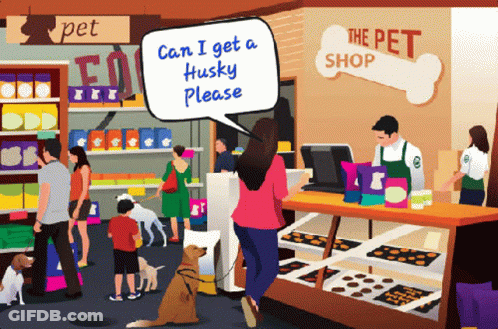 Pet Shop Woman Asking For Husky GIF