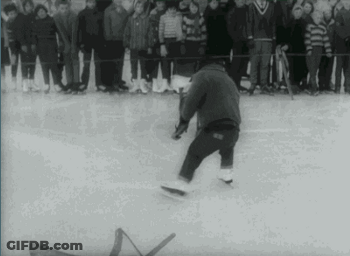 Pet Tricks Figure Skating GIF