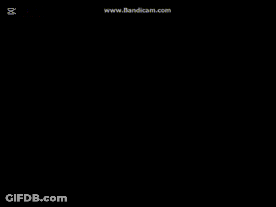 Pet With Hoops And Yoyo GIF