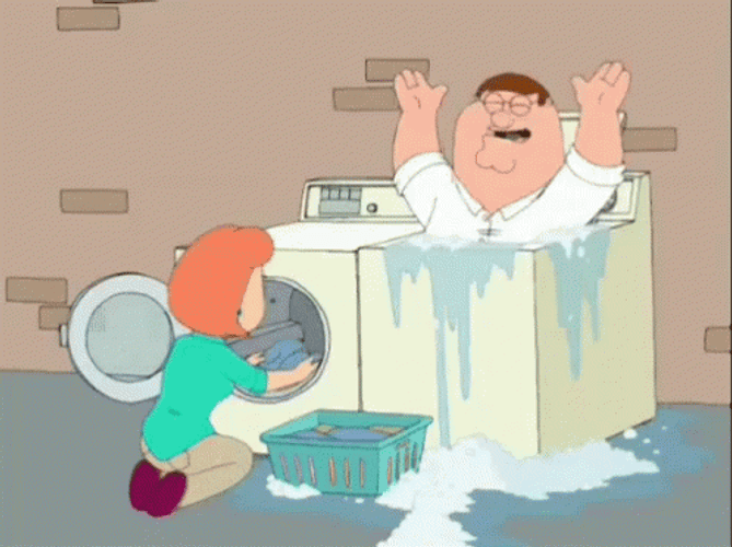 Peter Griffin And Megan Griffin Having Fun Doing Laundry GIF