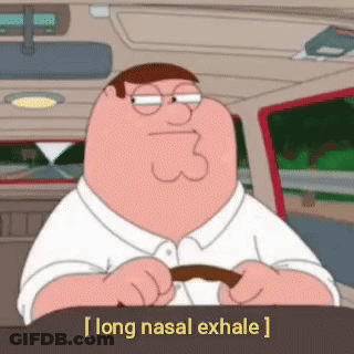 Peter Griffin Driving Car Saying Long Nasal Exhale GIF