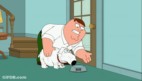 Peter Griffin Feeding Dog From Bowl GIF