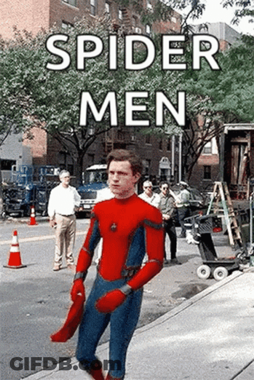 Peter Parker Spider Man Meme GIF
