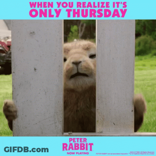 Peter Rabbit Poster Lion Peeking Through Fence GIF