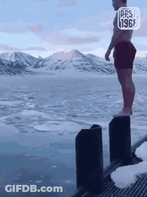 Pfsf1968 GIF