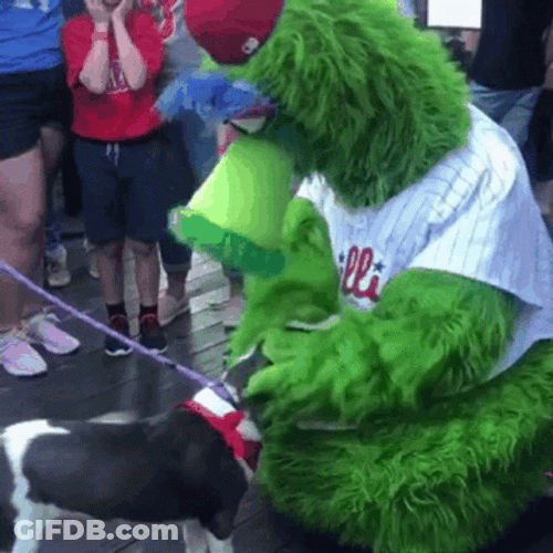 Phanatic Patting A Dog GIF
