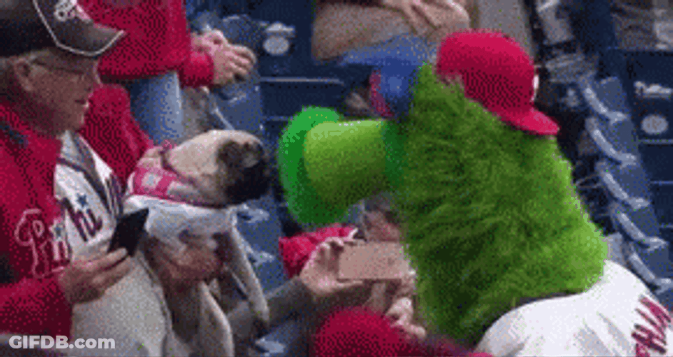 Phanatic Scares Pug Dog GIF