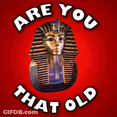 Pharaoh Statue Saying Are You That Old GIF