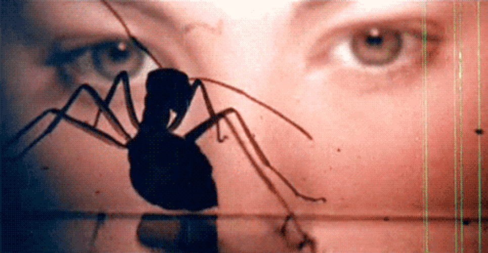 Phase IV Insect GIF