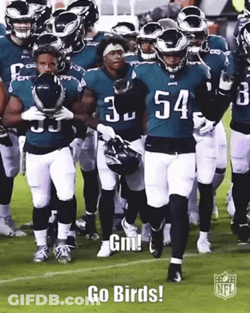 Philadelphia Eagles Dance Celebrate GIF