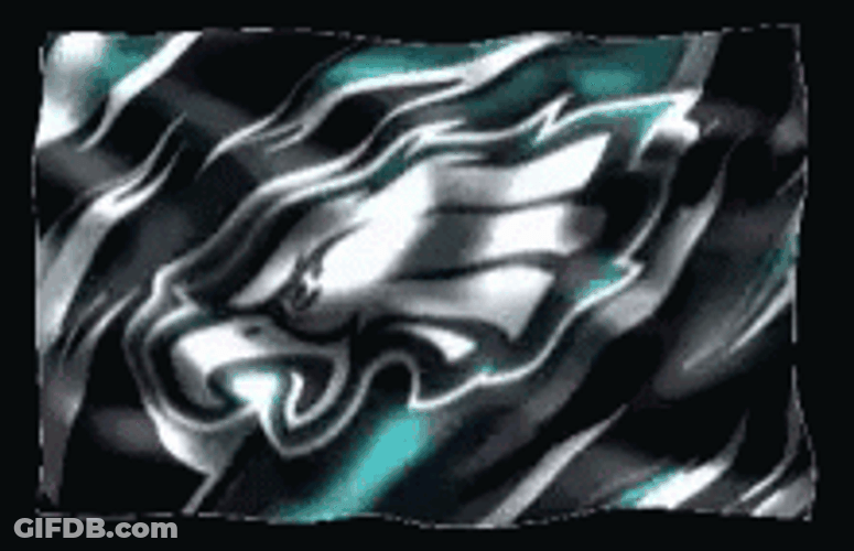Philadelphia Eagles Flag Windy GIF