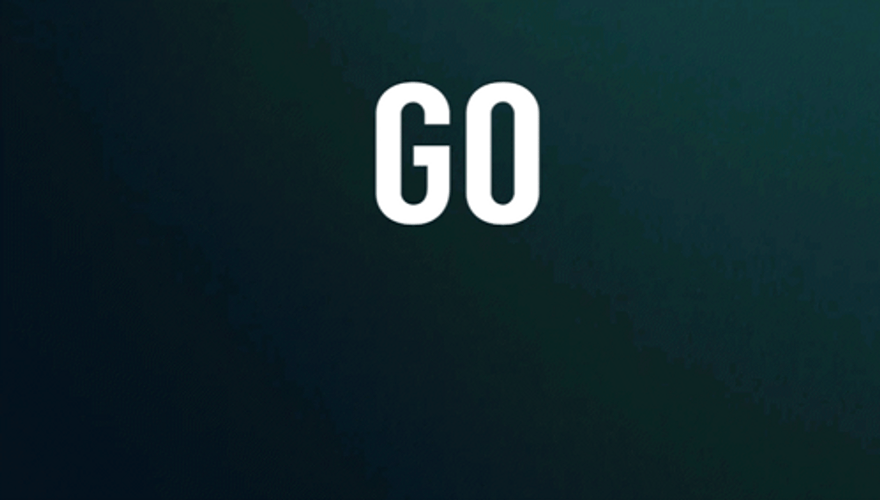 Philadelphia Eagles Go Birds GIF