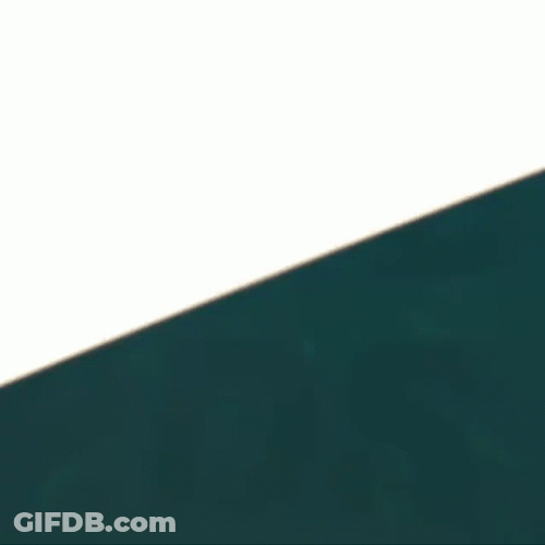 Philadelphia Eagles Logo Touchdown GIF