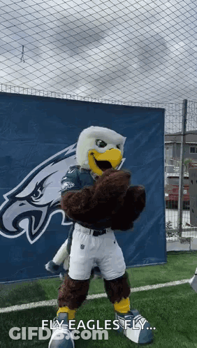 Philadelphia Eagles Mascot On Soccer Field GIF
