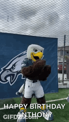 Philadelphia Eagles Mascot Saying Happy Birthday Anthony GIF