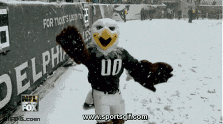 Philadelphia Eagles Mascot Sliding In Snow GIF