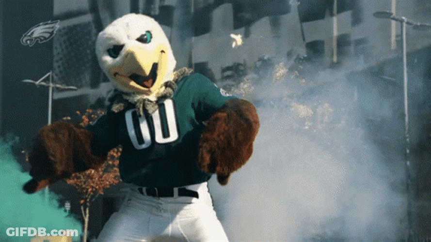 Philadelphia Eagles Swoop GIF