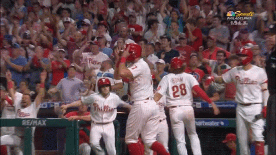 Phillies Tarp Grounds GIF