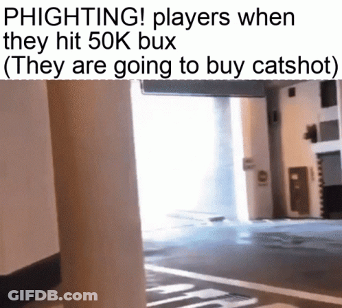 Phlighting Players When They Hit 50K Bux They Are Going To Buy Catshot GIF