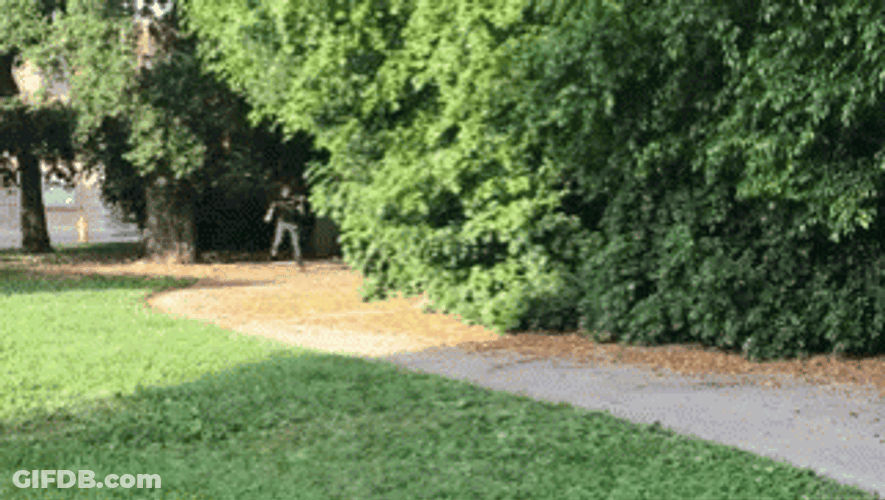Phoebe Running Friend Away GIF