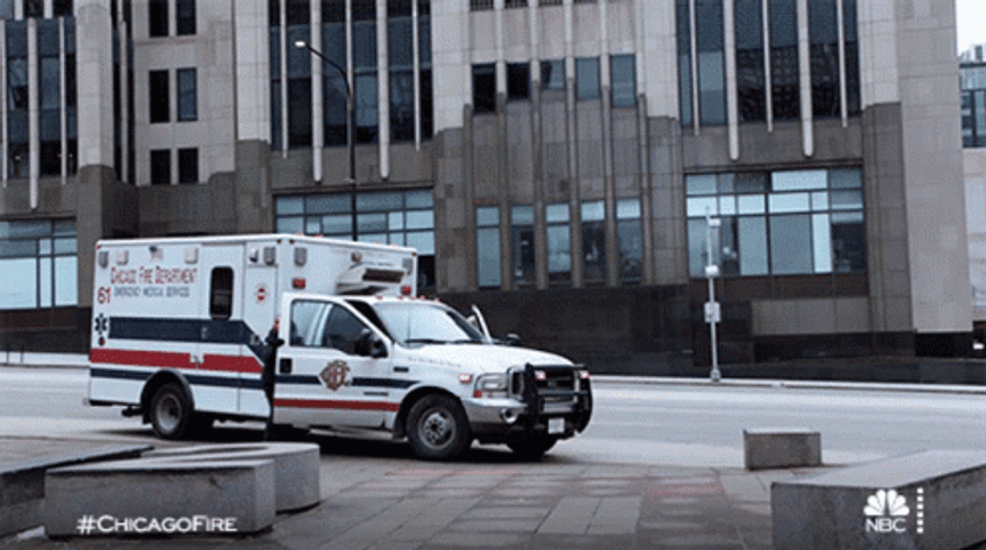 Phoebe Running With Amsterdam Emergency GIF