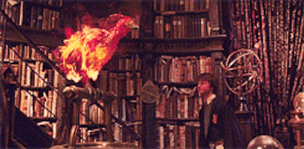 Phoenix Death In Harry Potter GIF