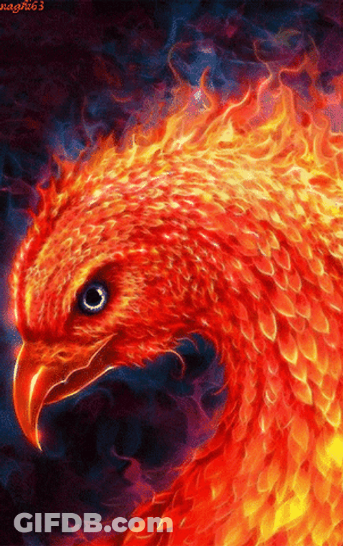 Phoenix Digital Creative Art GIF