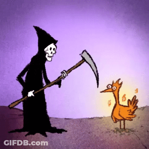 Phoenix Rising From Death Animation GIF