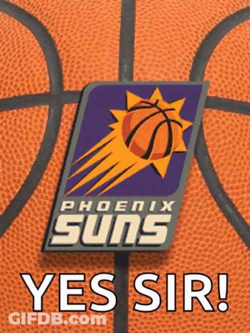 Phoenix Suns Suns GIF