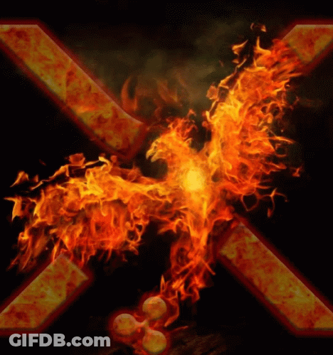 Phoenix Surrounded By Flames With X GIF