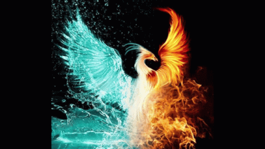 Phoenix Water And Fire Transition GIF