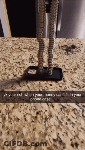 Phone Case With Spider GIF