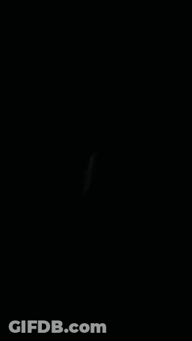 Phone Screen Saying Not Playing GIF