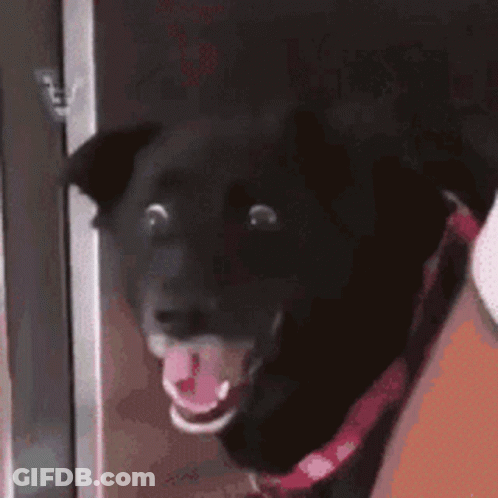 Phone Screen Showing Sarah Connor GIF