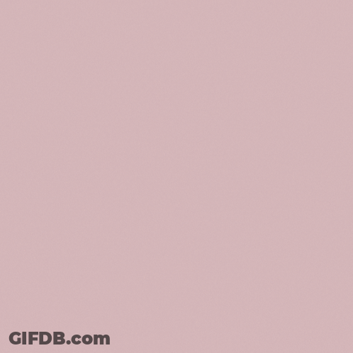 Phone With Egypt And Food GIF