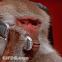 Phone With Pink Penguin And Pudgy Penguins GIF