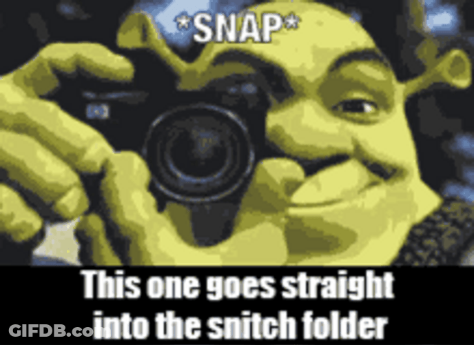 Photo Goes Into Snitch Folder GIF
