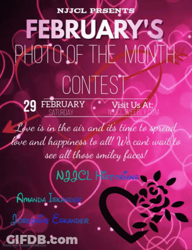 Photo Of The Month Contest Saturday February 29 GIF